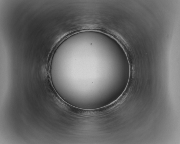 X0000115821212200911201438