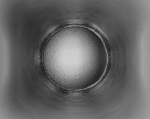 X0000115821213200911201438