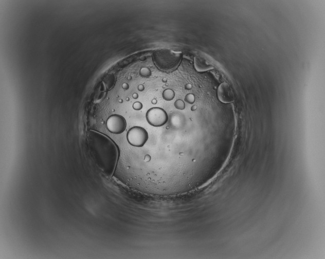 X0000115821215200911201438