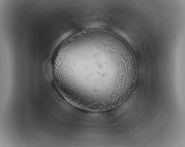 X0000115821219200911201438