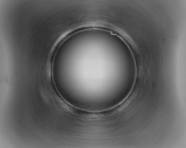 X0000115821224200911201438