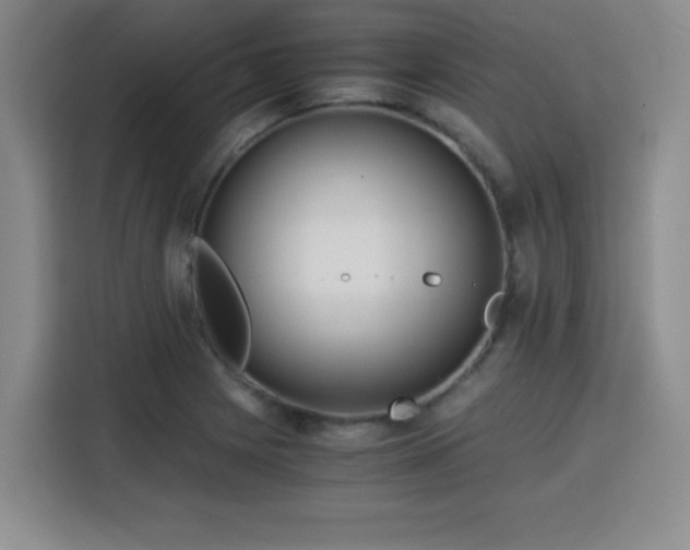 X0000115821225200911201438