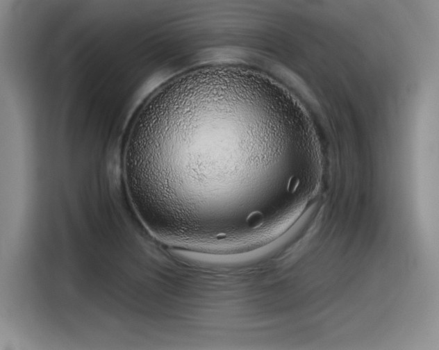 X0000115821226200911201438