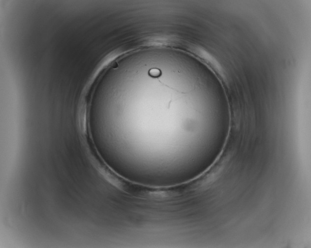 X0000115821227200911201438