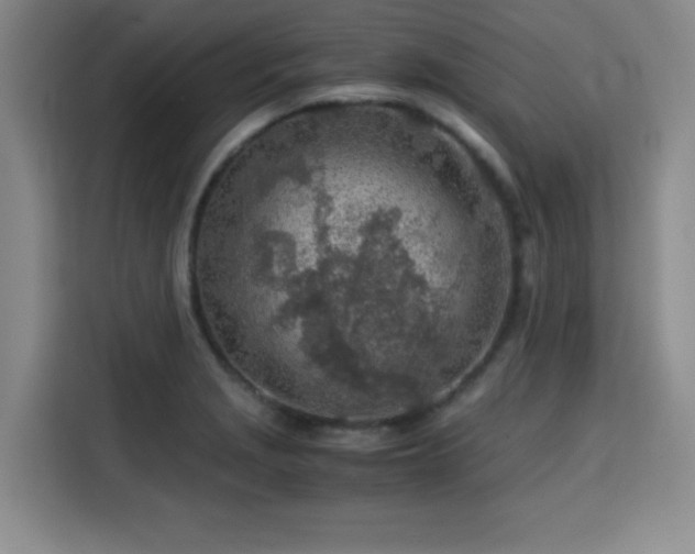 X0000115821229200911201438