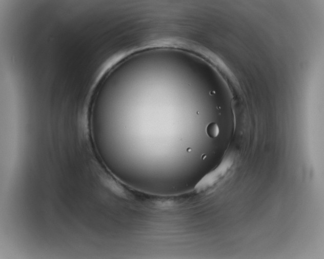 X0000115821230200911201438