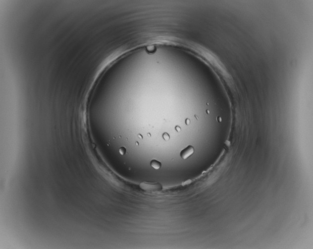 X0000115821234200911201438