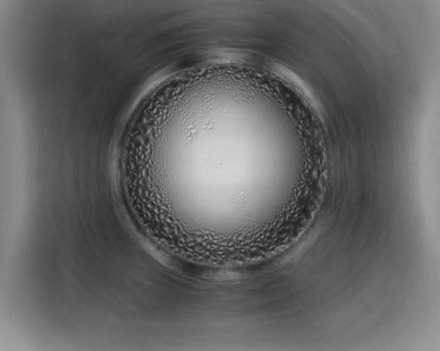 X0000115821235200911201438