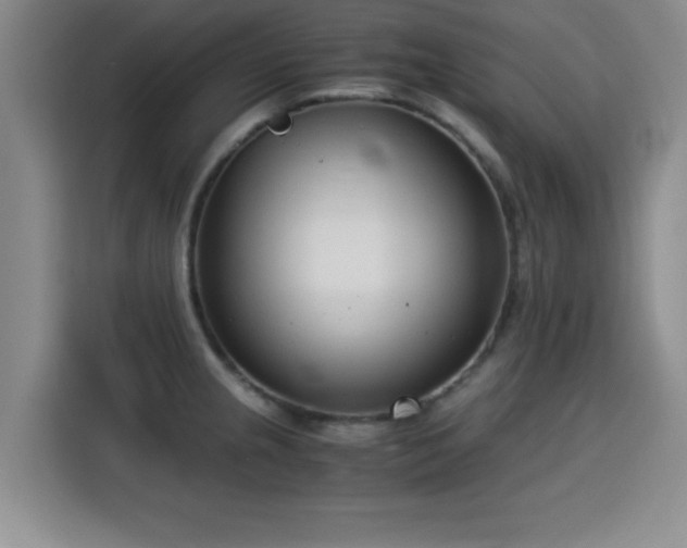 X0000115821237200911201438