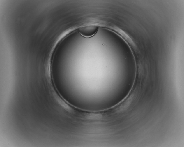 X0000115821238200911201438