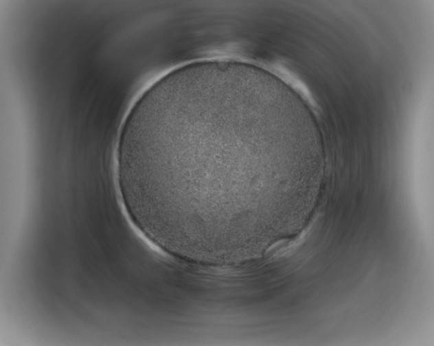 X0000115821239200911201438