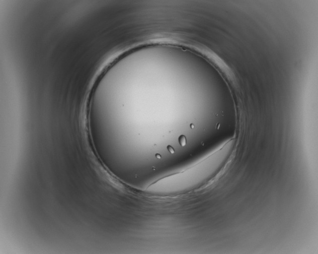 X0000115821240200911201438