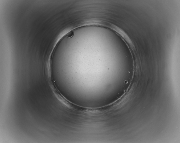 X0000115821242200911201438