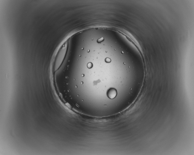 X0000115821243200911201439