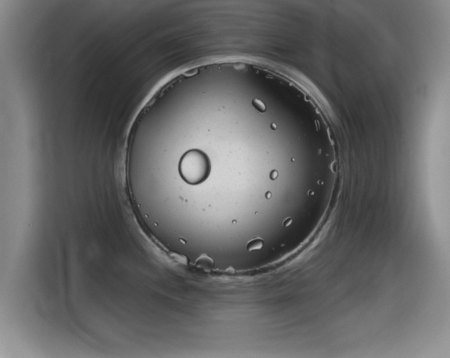 X0000115821244200911201439