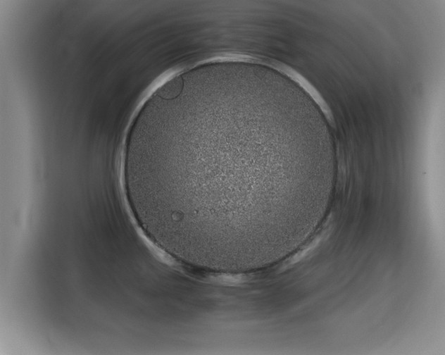 X0000115821245200911201439