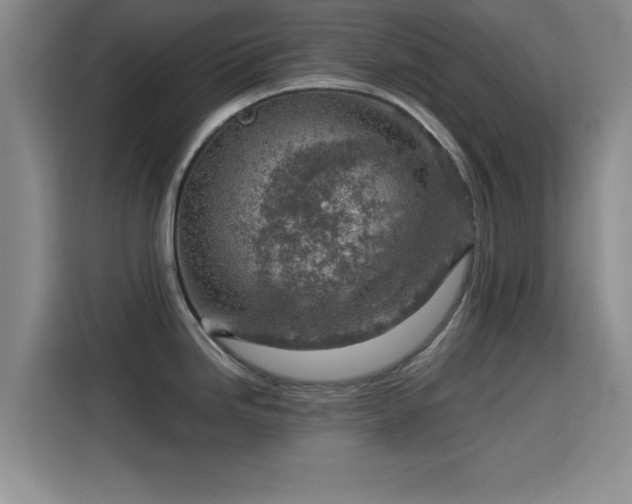 X0000115821246200911201439