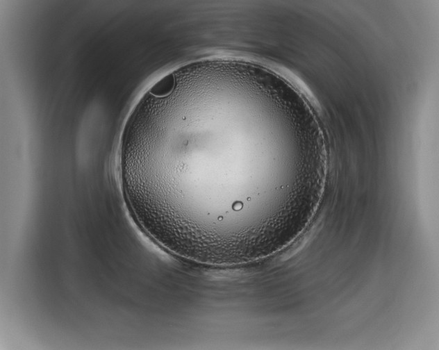 X0000115821247200911201439