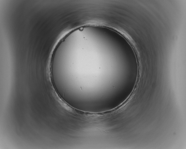 X0000115821248200911201439