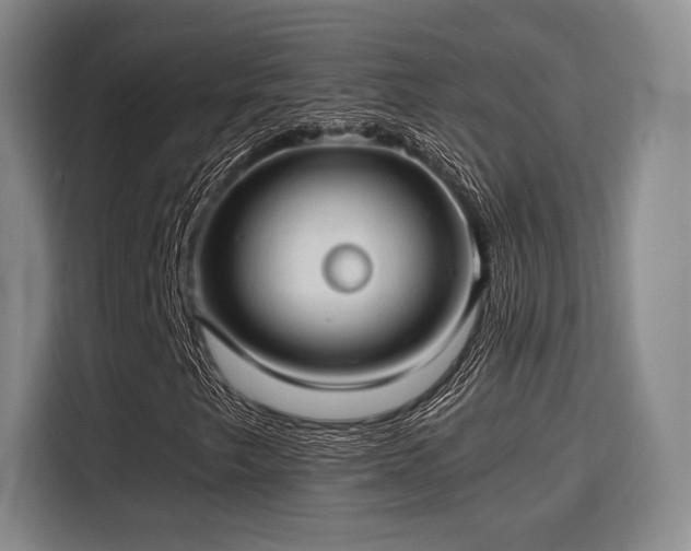 X0000115821249200911201438