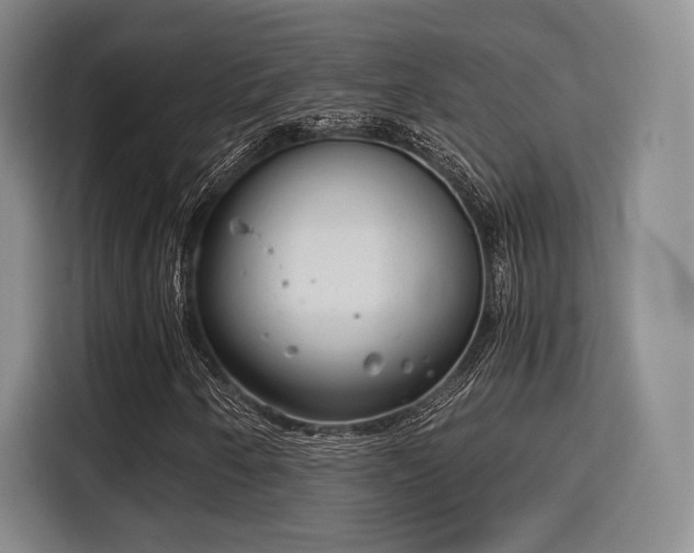 X0000115821250200911201438