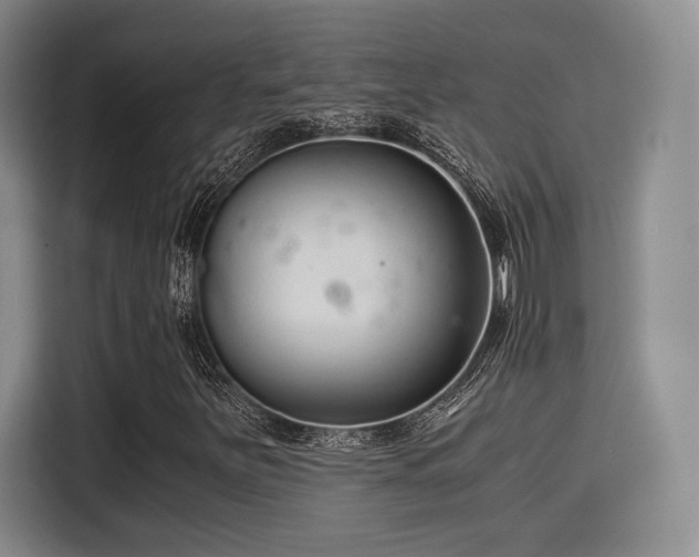 X0000115821251200911201438