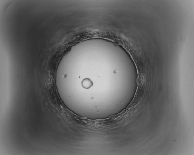 X0000115821253200911201438