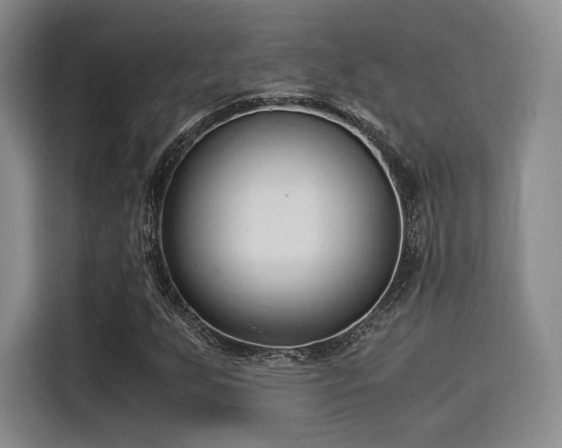 X0000115821255200911201438