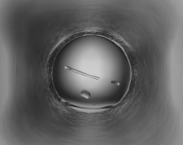 X0000115821256200911201438