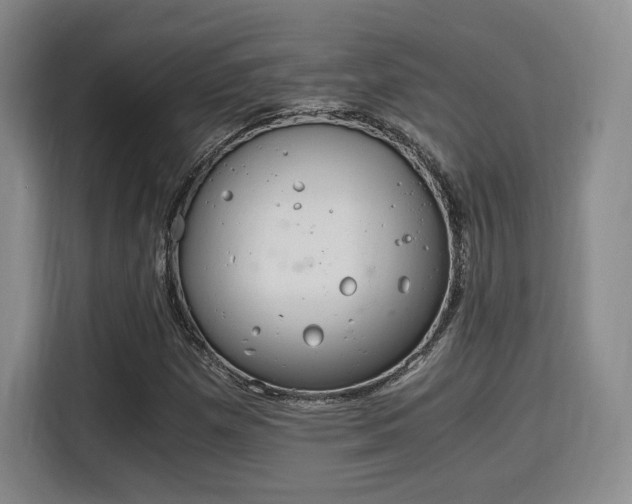 X0000115821257200911201438