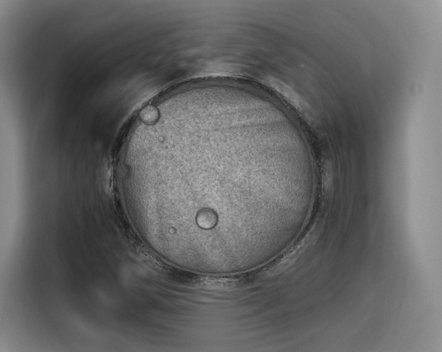 X0000115821258200911201438