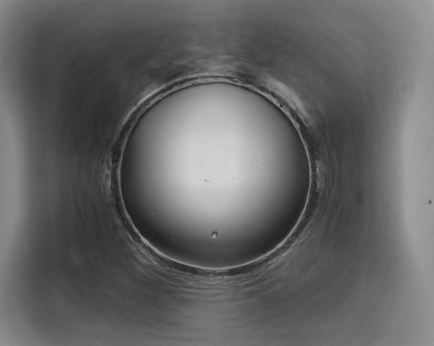 X0000115821260200911201438