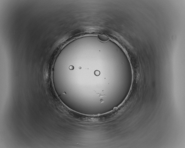 X0000115821261200911201438