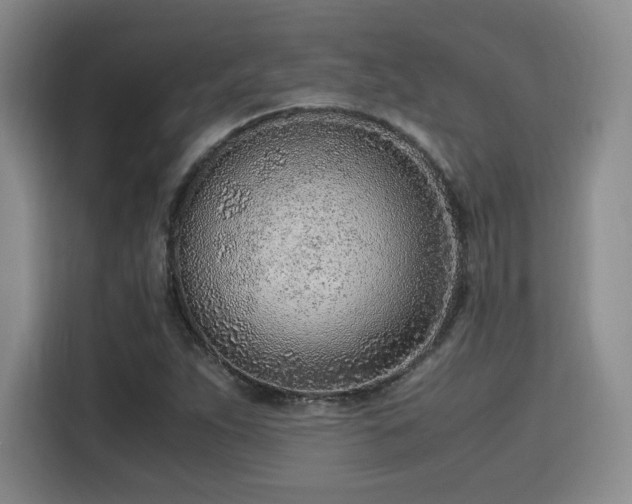 X0000115821263200911201438