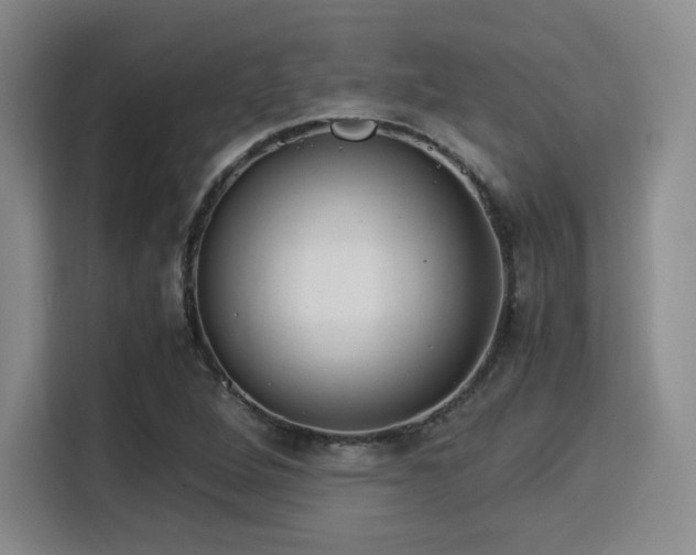 X0000115821264200911201438