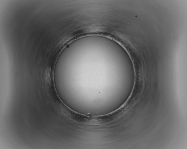 X0000115821265200911201438