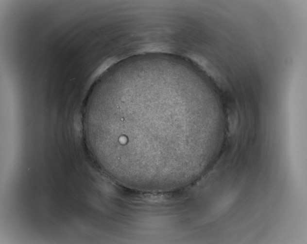 X0000115821266200911201438