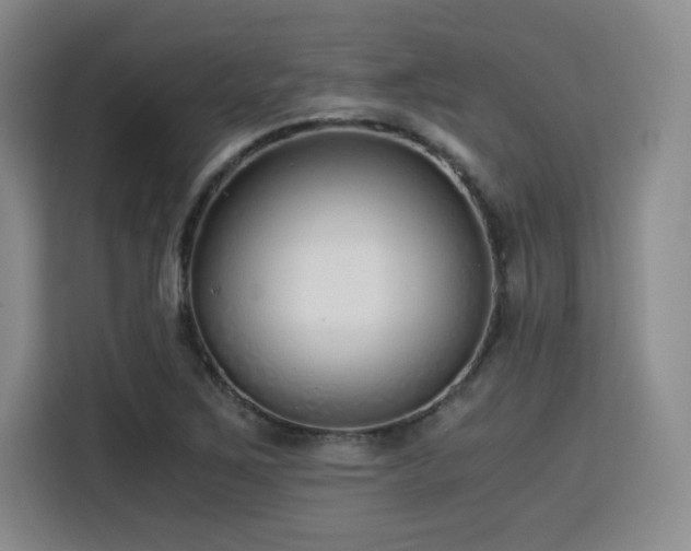 X0000115821267200911201438