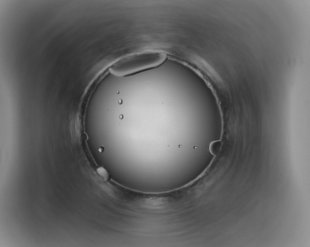 X0000115821268200911201438