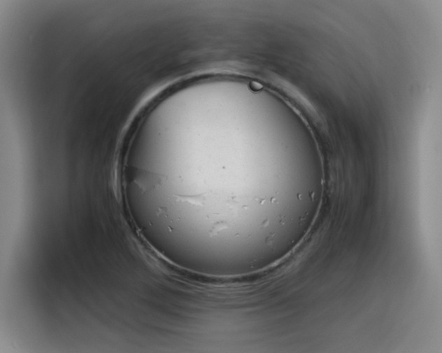 X0000115821272200911201438