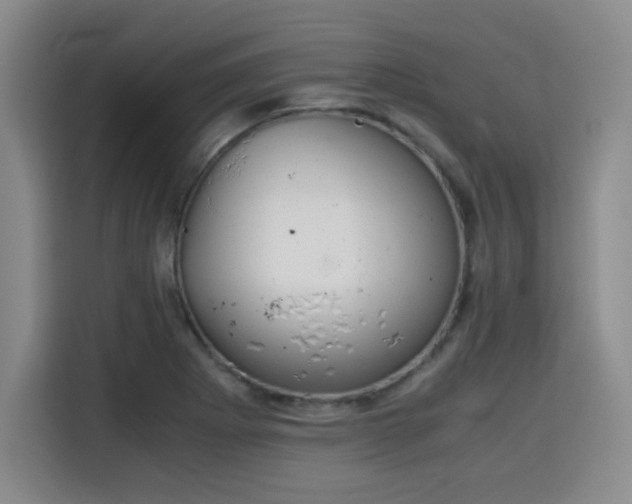 X0000115821273200911201438