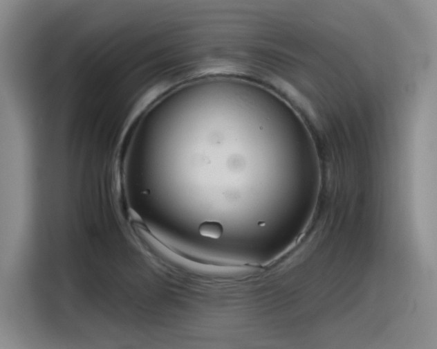 X0000115821274200911201438