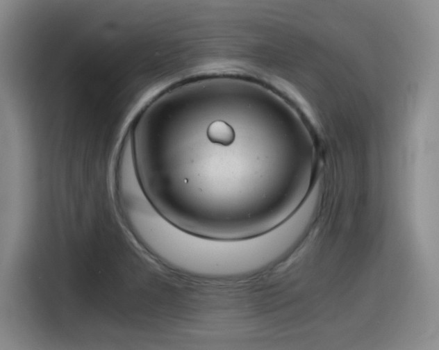 X0000115821277200911201438