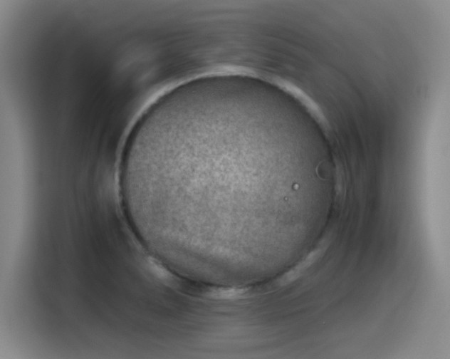 X0000115821278200911201438