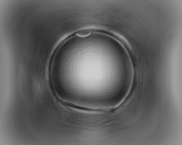 X0000115821279200911201438