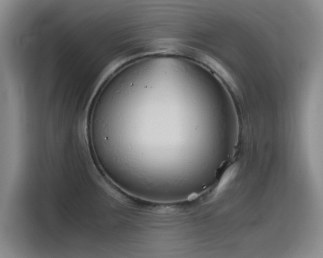 X0000115821283200911201438