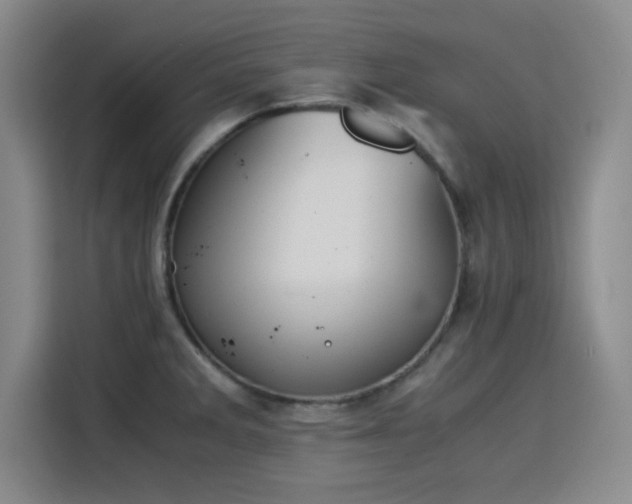 X0000115821285200911201437