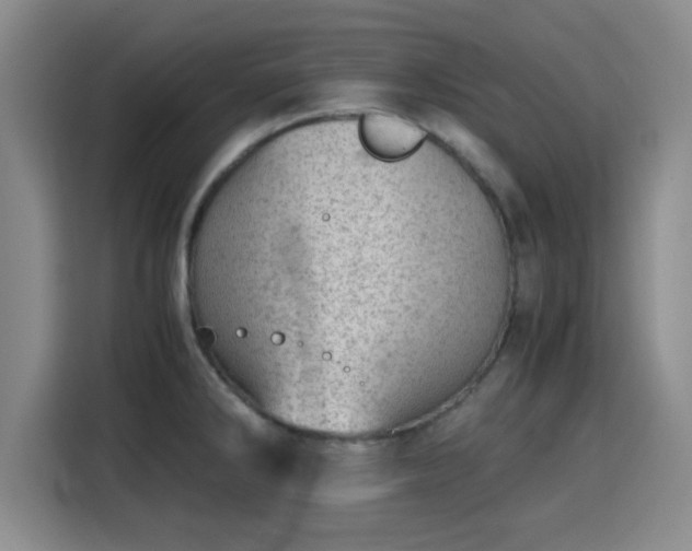 X0000115821286200911201437