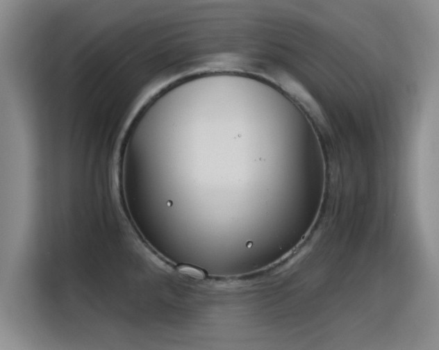 X0000115821288200911201437