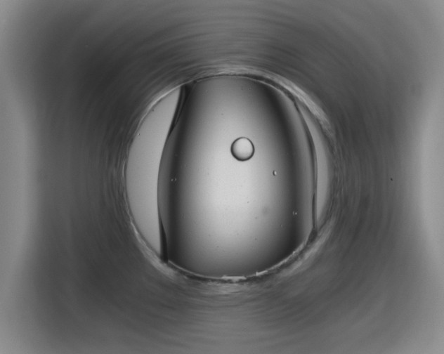 X0000115821289200911201437